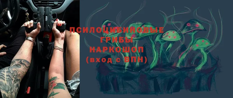 Псилоцибиновые грибы MAGIC MUSHROOMS  Никольск 